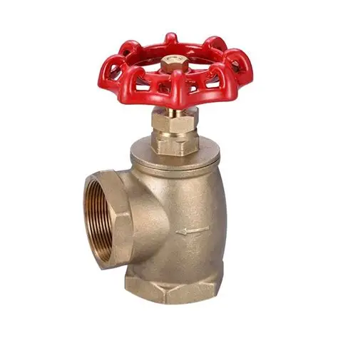 Ankle Valve
